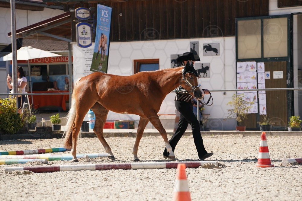 s_A_907595.JPG